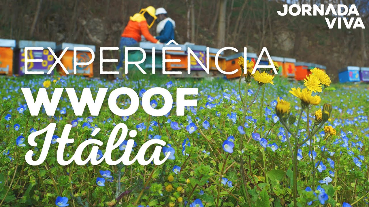 Criando abelhas na Itália - Experiência WWOOF - Jornada Viva