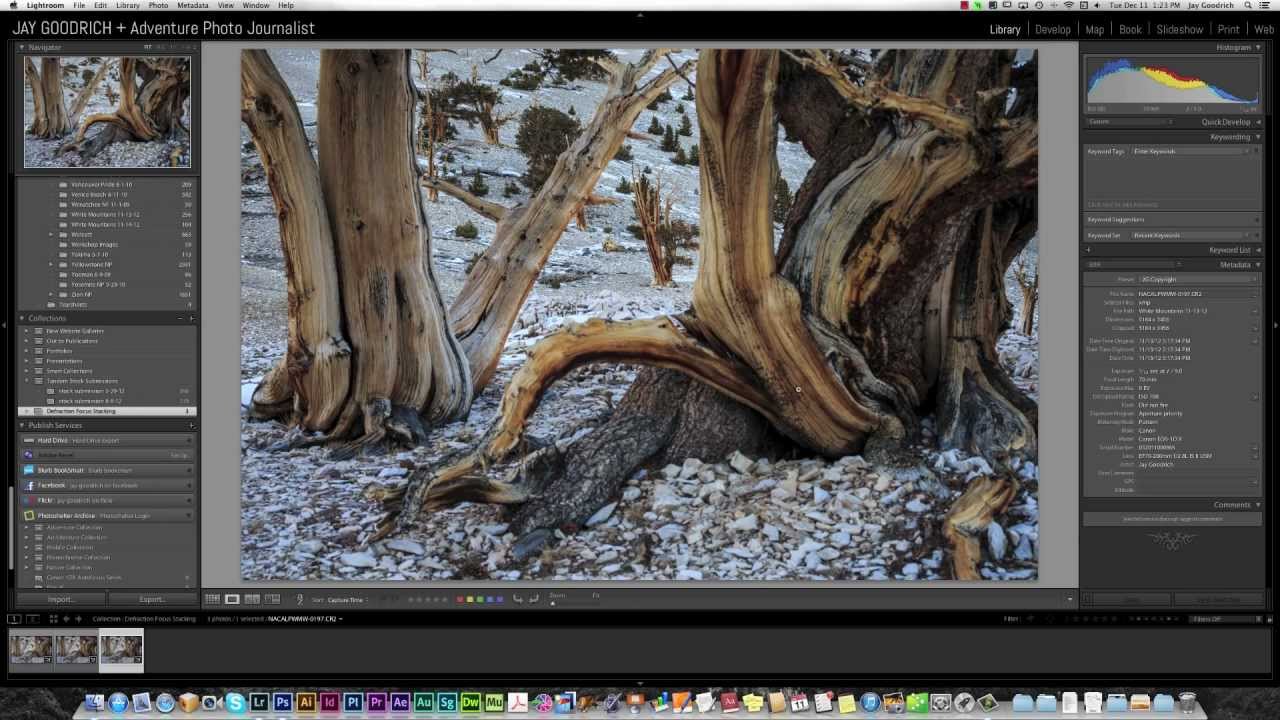 Diffraction and Focus Stacking Tutorial for Photoshop