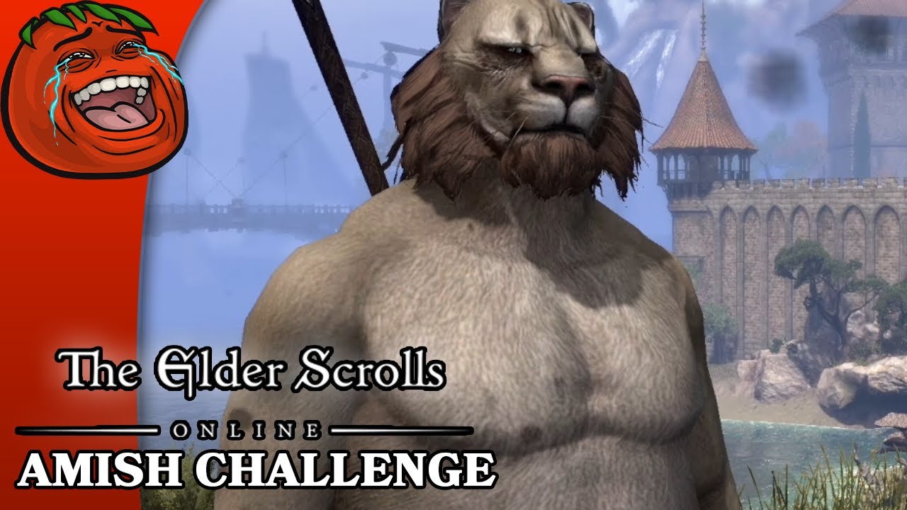 [Tomato] Elder Scrolls Online : Immense Hairball's regrettable Permadeath Amish Challenge.