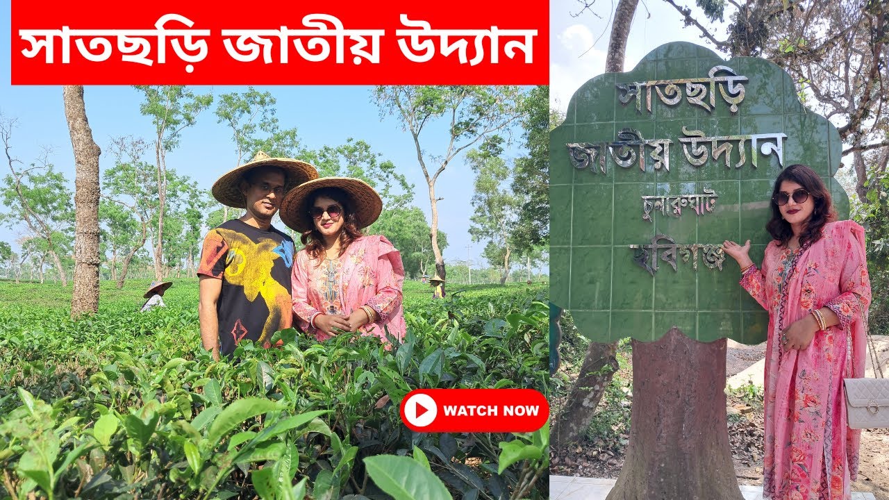 সাতছড়ি জাতীয় উদ্যান II চা বাগান II SATCHORI NATIONAL PARK II #sylhet