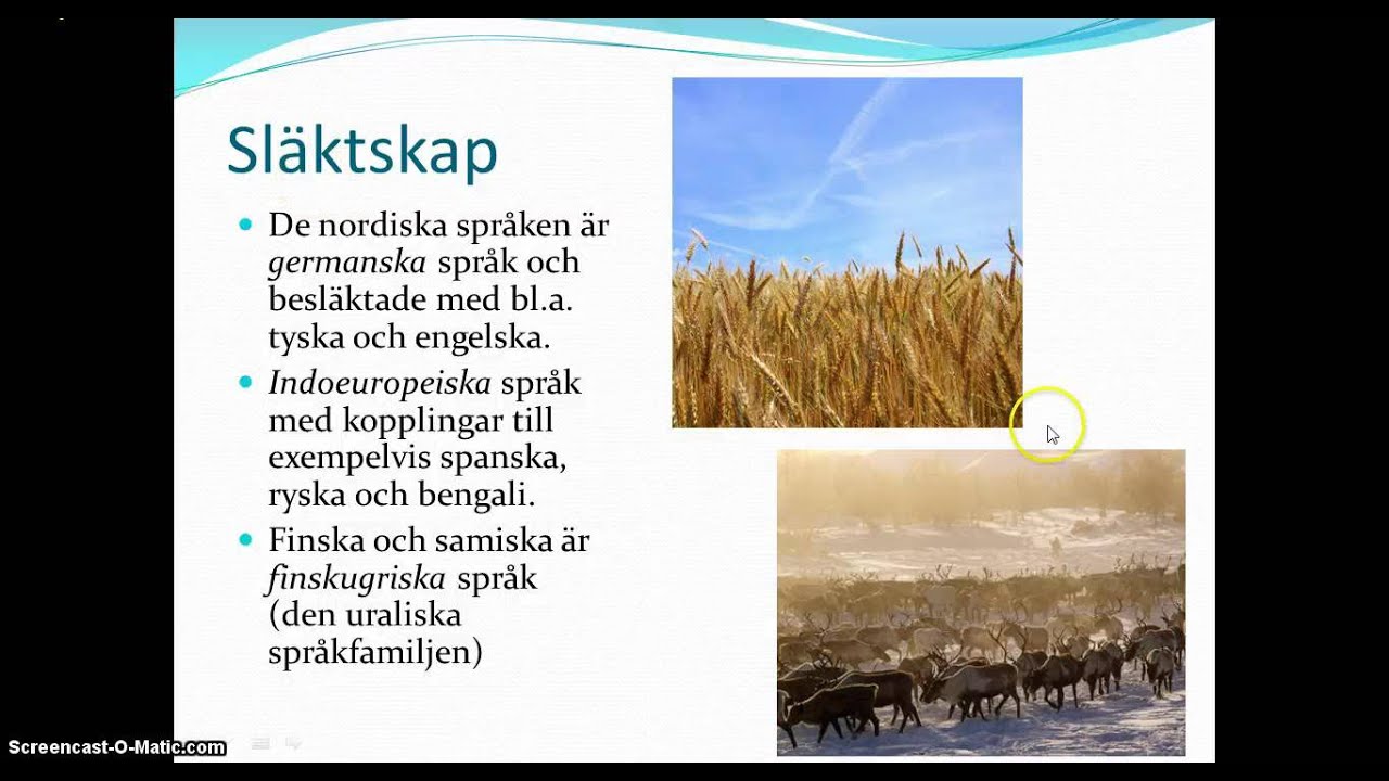 Språk i Norden