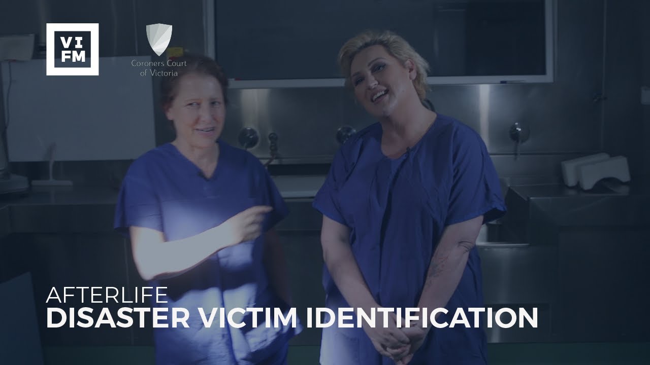 Afterlife - Disaster Victim Identification
