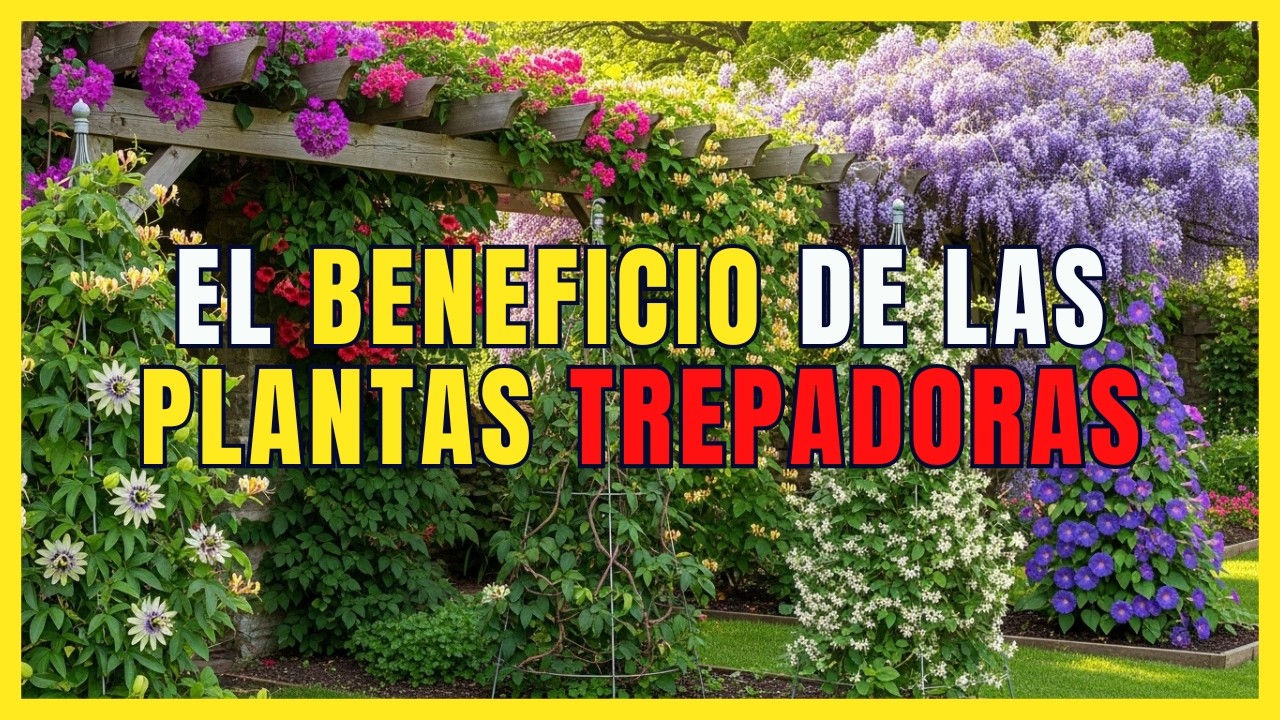 7 plantas trepadoras con flores y de crecimiento rápido