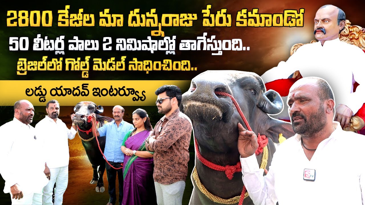 Laadu Yadav Exclusive Interview | Laddu Yadav Sadar Festival 2022 | Roshan | @sumantvtelugulive