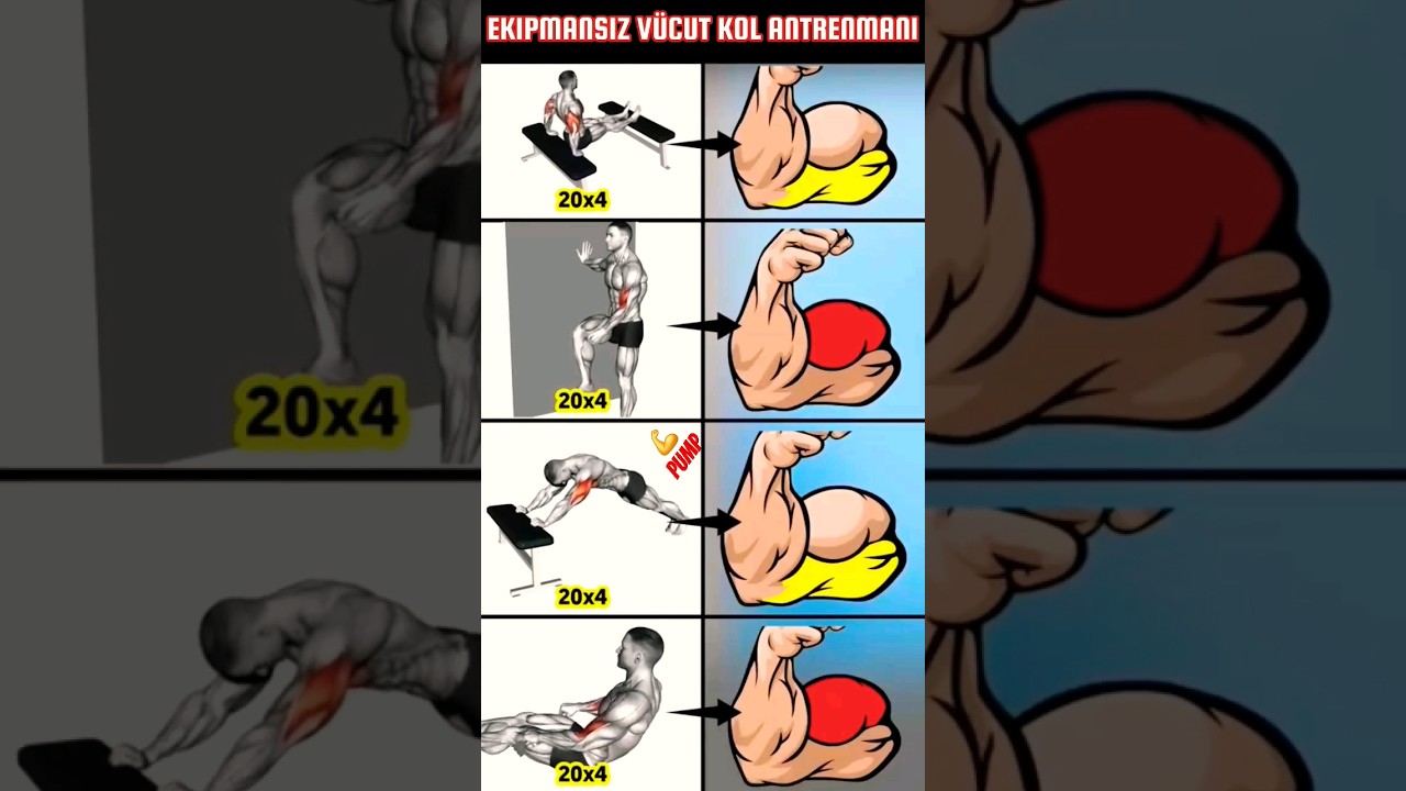 Kol Antrenmanı Ekipmansız Aletsiz Vücut ile Kol Kaslarını Büyüt