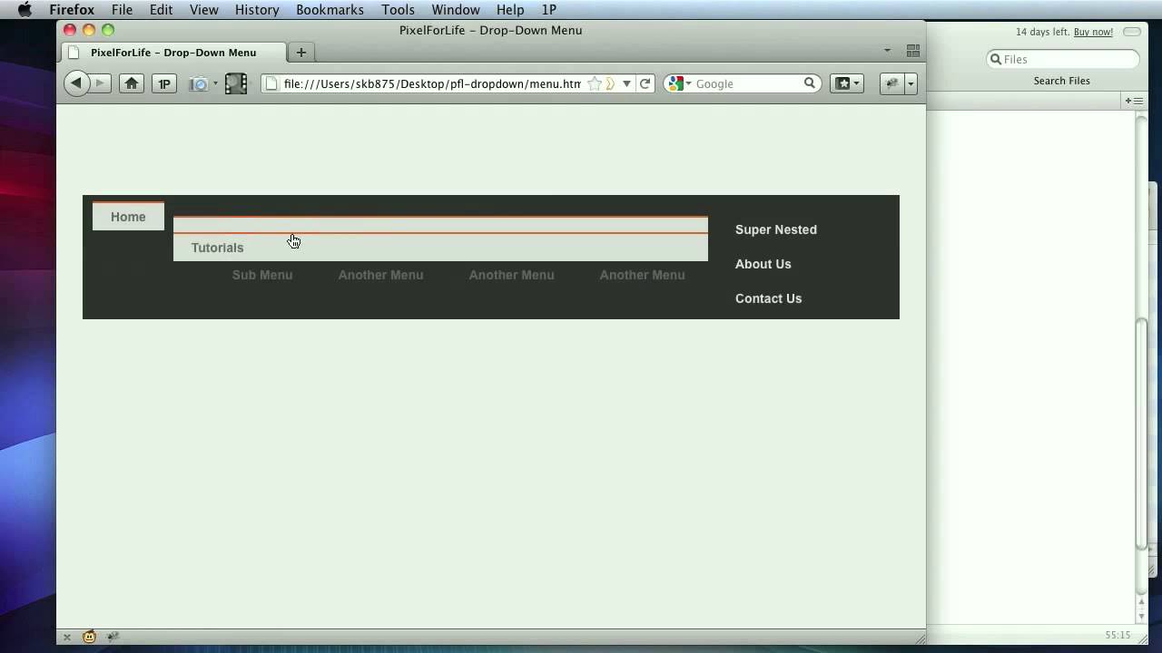 CSS Drop-Down Navigation Menu
