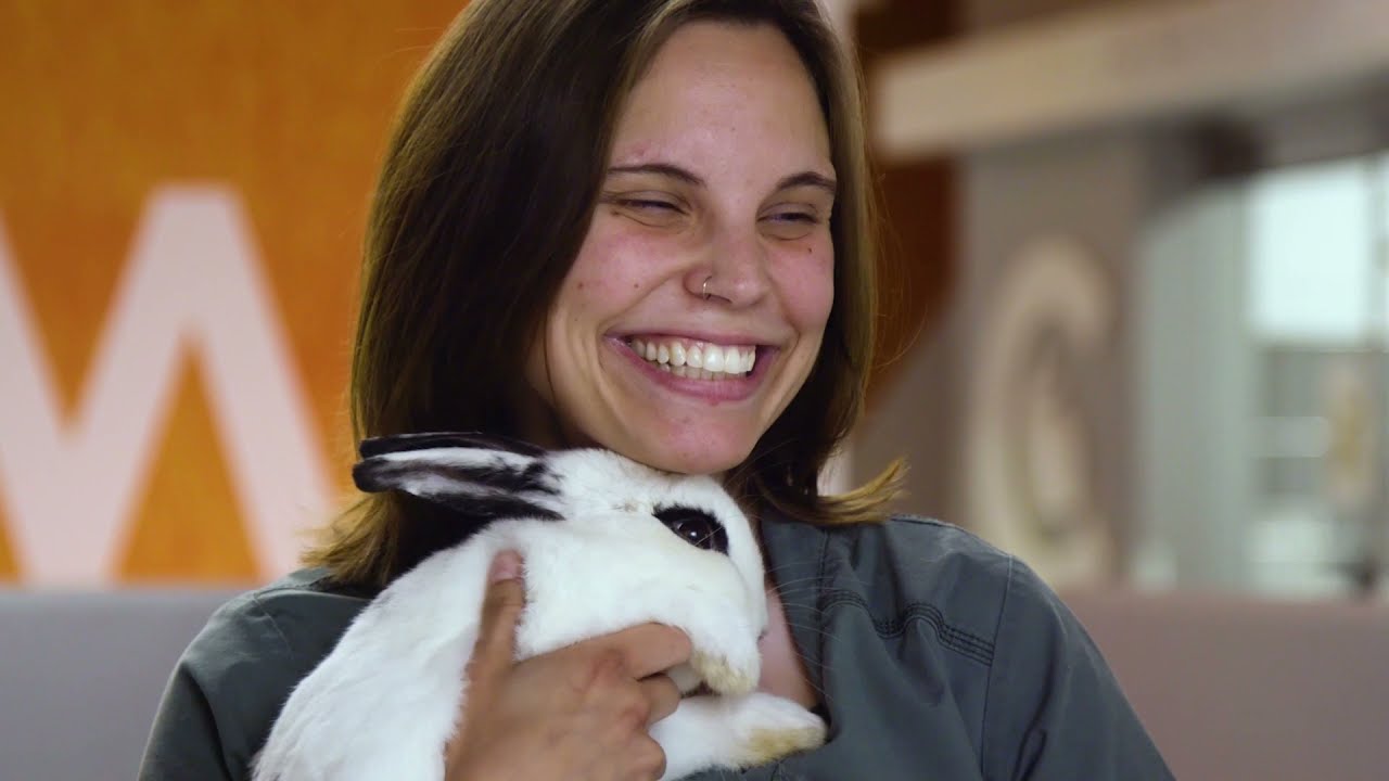 A Day In The Life at Columbus Humane