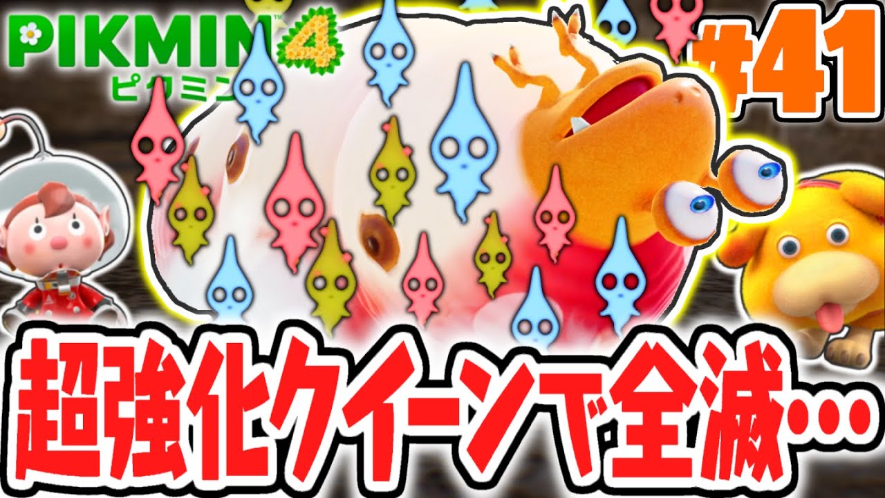 超大量のピクミンが潰されました…強化されたクイーンチャッピーを倒せるか!?最速実況Part41【ピクミン4】