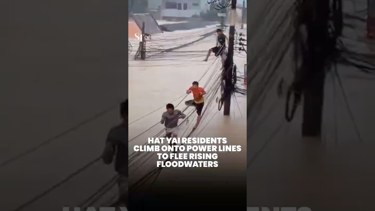 People in Hat Yai climb onto power lines to escape rising floodwaters