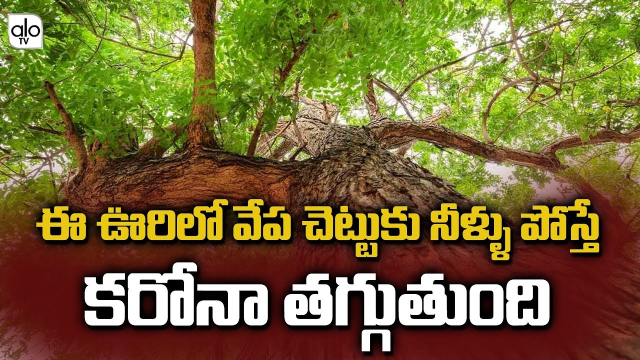People Are Fearing About Present Issues | JanataCurfew | Telugu News | ALO TV