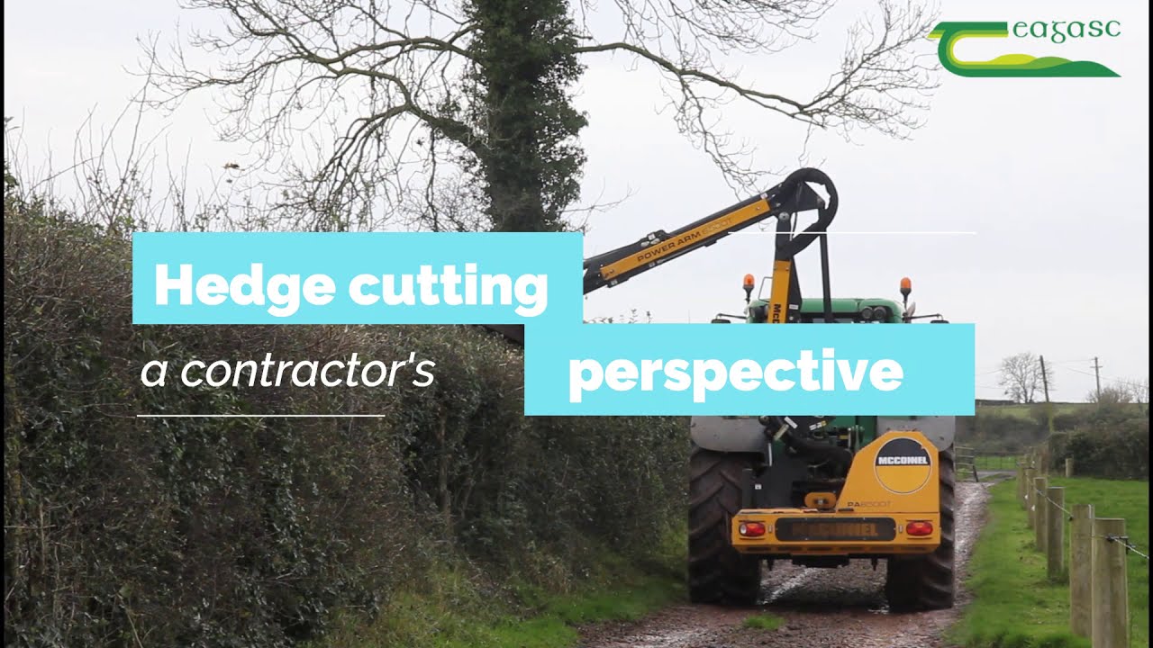 Hedge cutting - a contractor's perspective - Hedgerow Week 2020