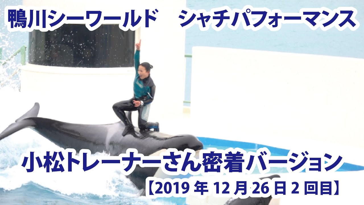 【2019年12月26日2回目】鴨川シーワールド　シャチパフォーマンス　小松トレーナーさん密着バージョン