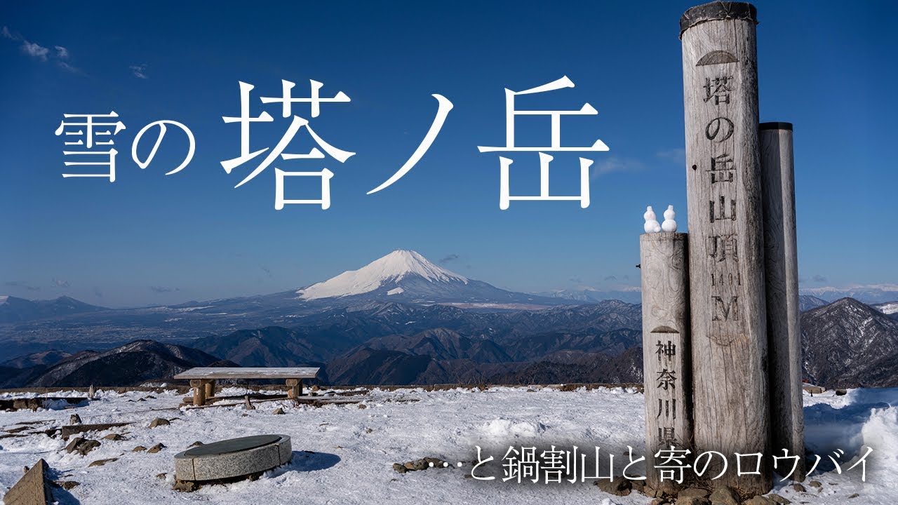 【日帰り登山】雪の塔ノ岳と鍋割山に登って寄で満開のロウバイを見てきました