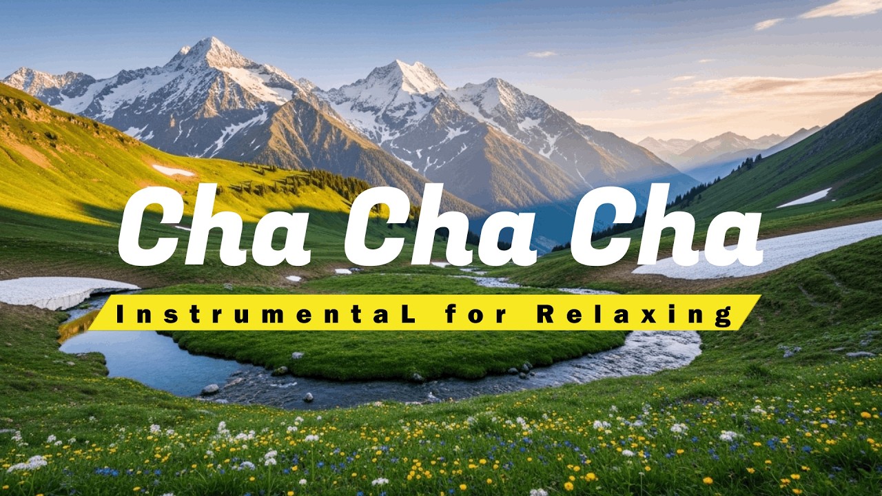 Relaxing Cha Cha Cha Instrumental – Beautiful Guitar & Accordion Latin Fusion