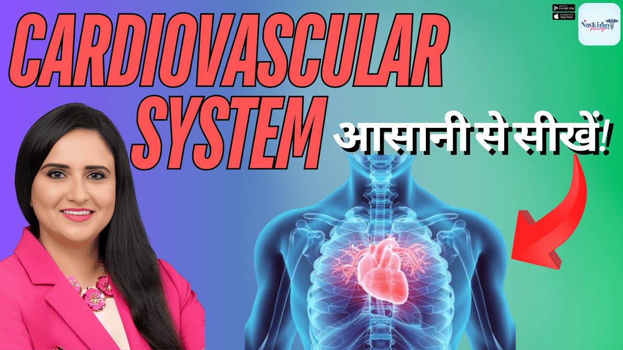 The Cardiovascular System Explained in Hindi