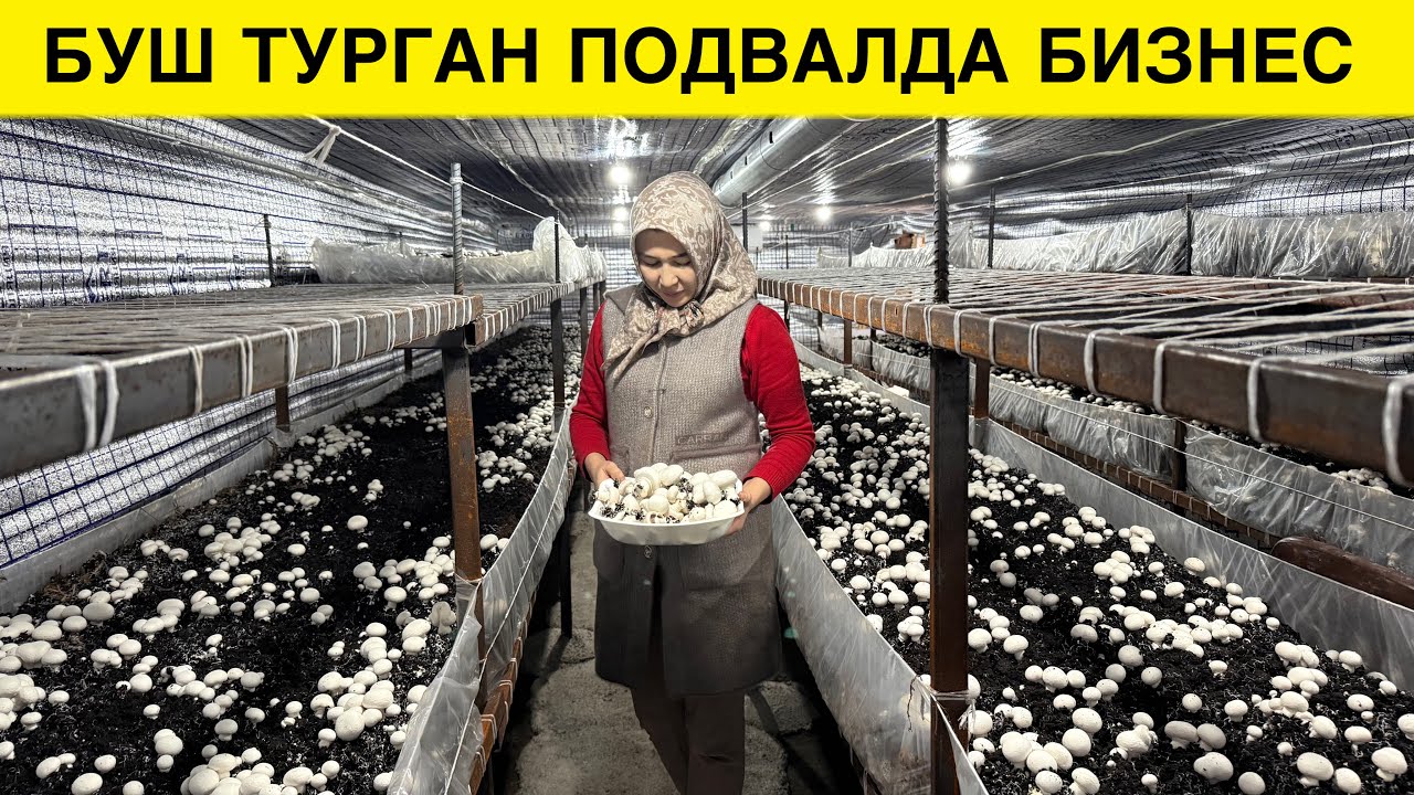 ПОДВАЛДА 30 МИЛЛИОН СУМ ДАРОМАД КИЛГАН ОПА 
