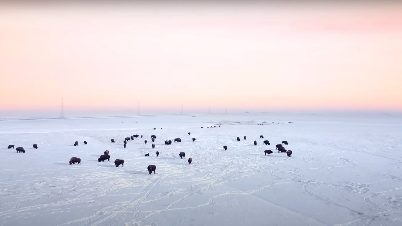 INTO THE LIGHT - Human Trafficking in Indigenous Communities in Alberta