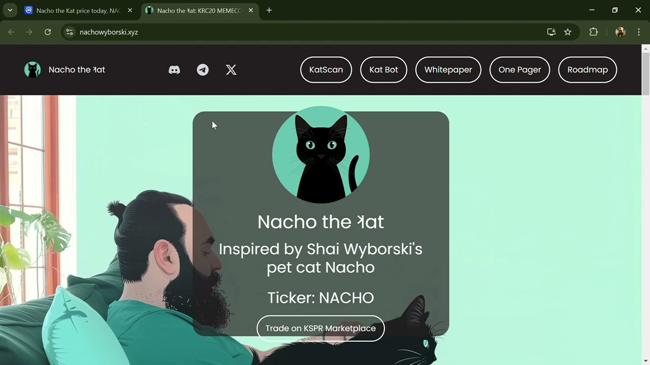 What is Nacho the Kat (NACHO) Token Coin | Review About NACHO Token