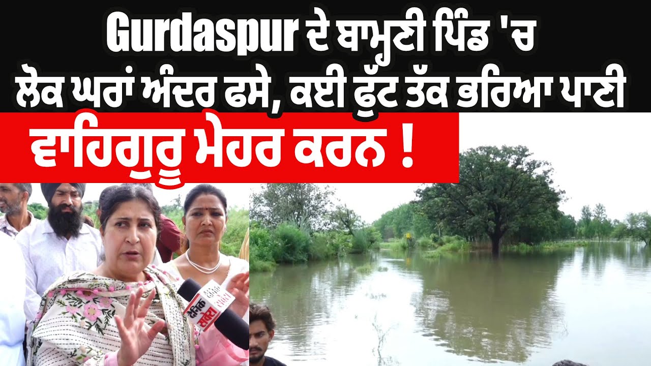 Gurdaspur |Gurdaspur ਦੇ ਬਾਮ੍ਹਣੀ ਪਿੰਡ 'ਚ ਲੋਕ ਘਰਾਂ ਅੰਦਰ ਫਸੇ, ਕਈ ਫੁੱਟ ਤੱਕ ਭਰਿਆ ਪਾਣੀ,ਵਾਹਿਗੁਰੂ ਮੇਹਰ ਕਰਨ !