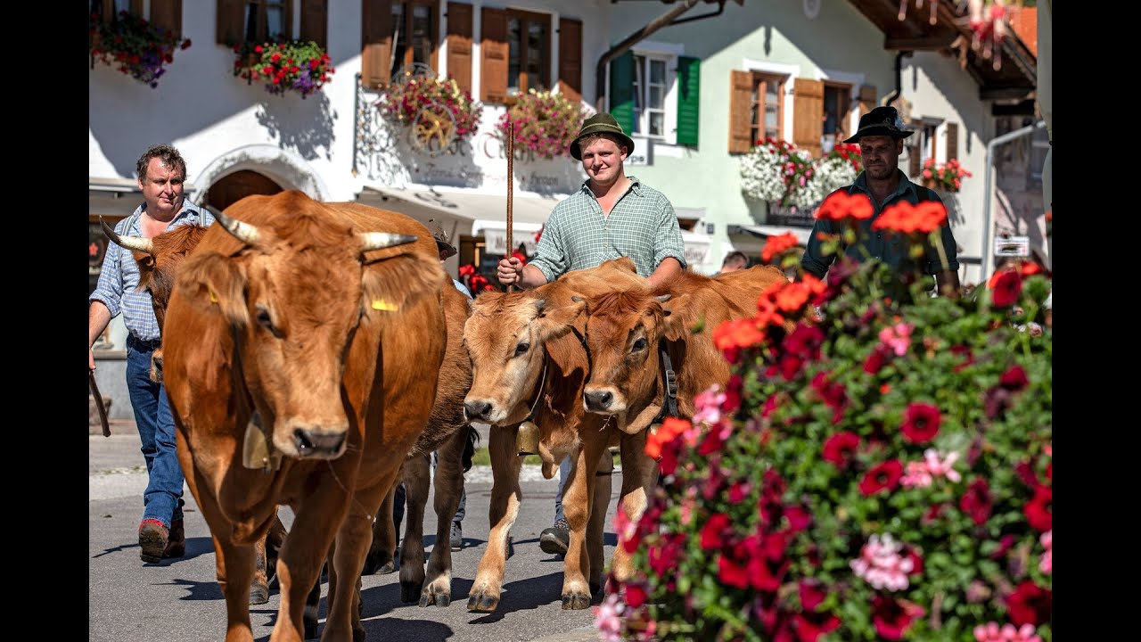 17-10-2025 || Almabtrieb || Mittenwald || Alpenwelt Karwendel || Bayern || Reisen Deutschland 🇩🇪