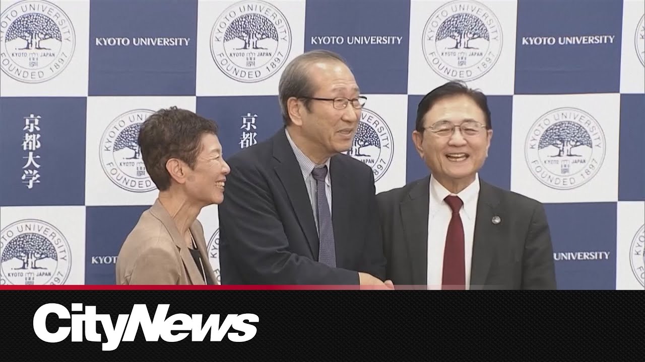 Trio win Nobel Prize in chemistry for work on 'Hermione's handbag' material