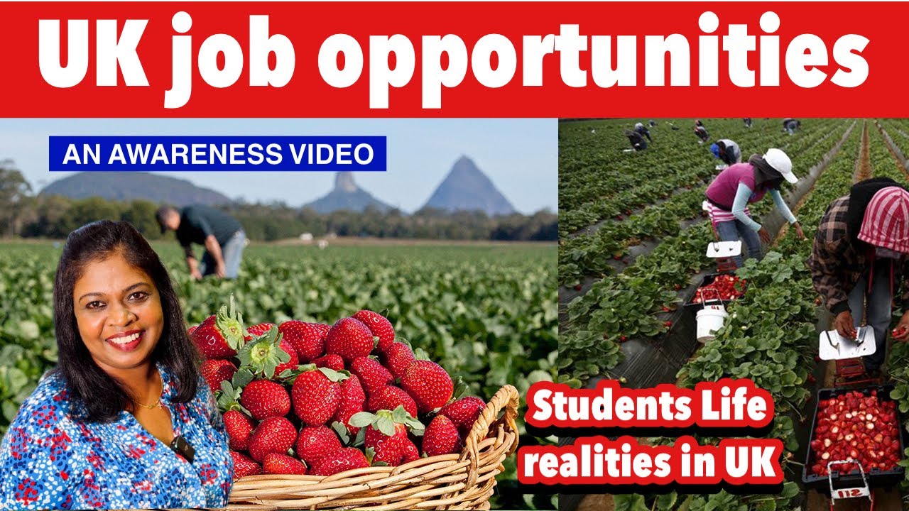 UK jobs..how much salary?/ students life realities!/ is it worth to come UK?