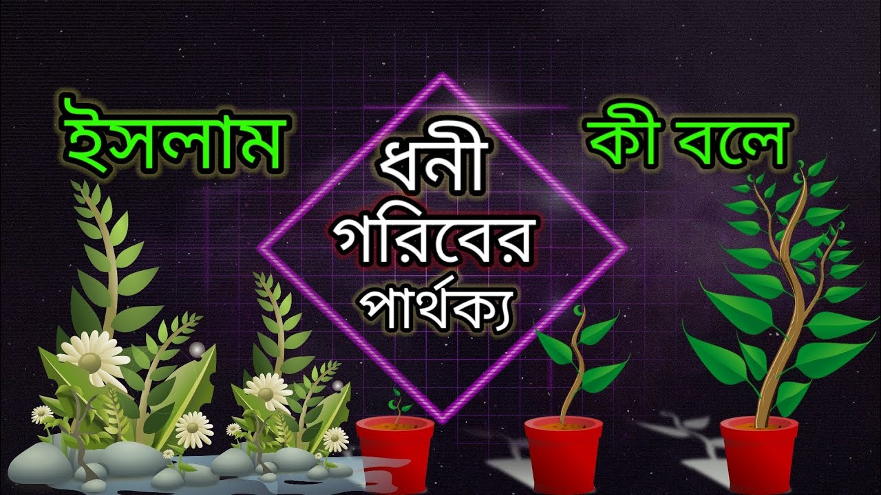 ধনী গরীবের পার্থক্য কী?What is the difference between rich and poor Bengali lecture Dr. Zakir Naik