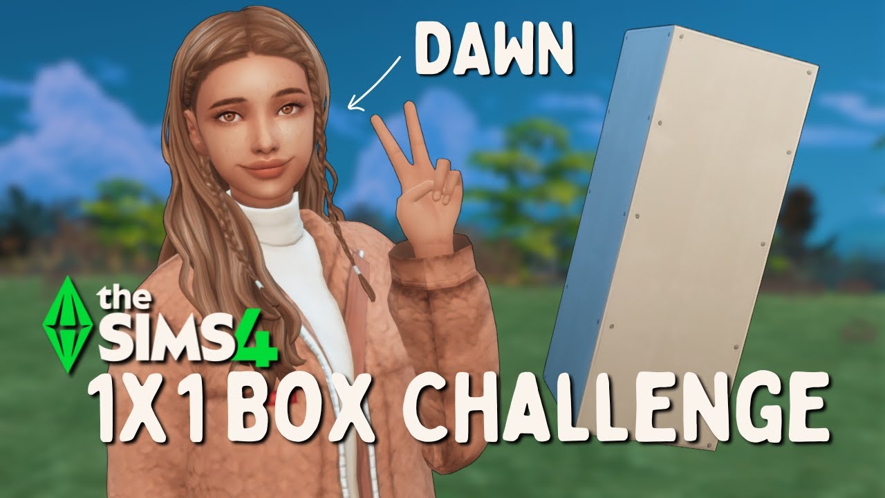 I Tried the 1x1 Box Challenge in The Sims 4 😳