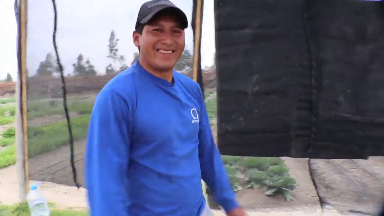 🍀 #RecorriendoLasJuntas | En Malchinguí se desarrolla el huerto orgánico Awki