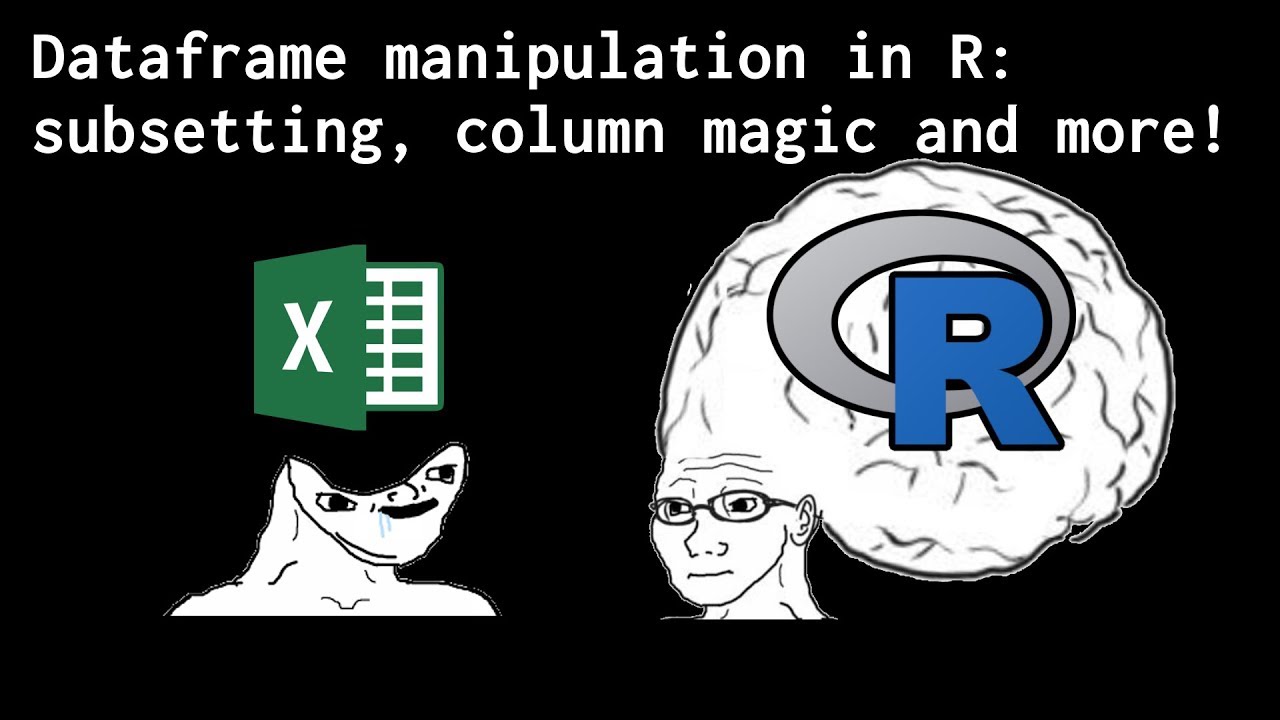 Basics of R Dataframes! Subsetting, Columns, Ifelse