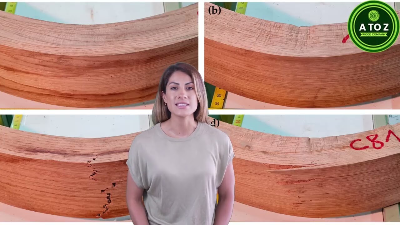 Timber Defects Explained | Types, Causes & Prevention | Buy Quality Timber at Best Price