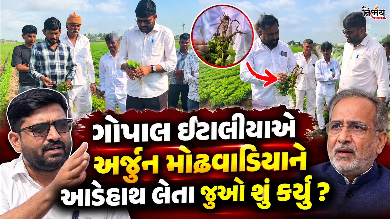 Gopal Italia એ પોરબંદરમાં અર્જુન મોઢવાડિયાને આડેહાથ લેતા ખેડૂતો મુદ્દે જુઓ શું કર્યું ? | Nirbhay |