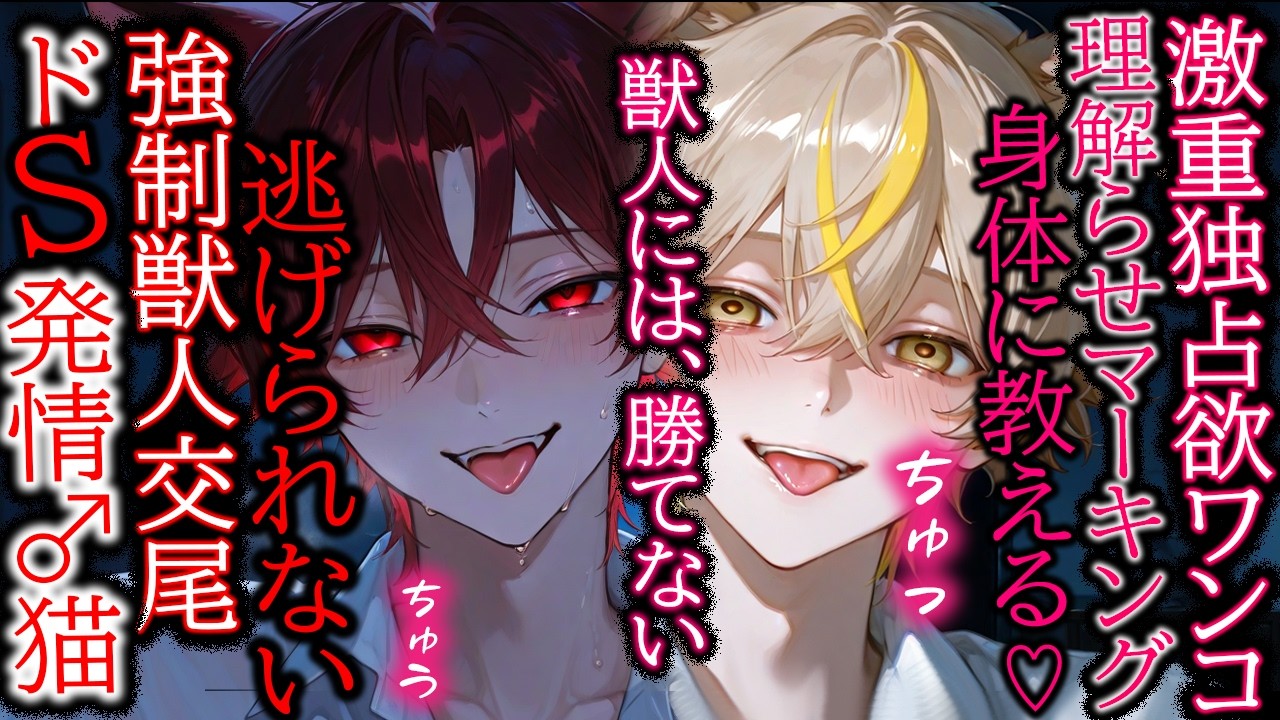 【理解らせ/獣人】嫉妬に狂った２頭の発情期オス♂獣人の強制交尾&理解らせマーキング♡【女性向け/シチュエーションボイス】