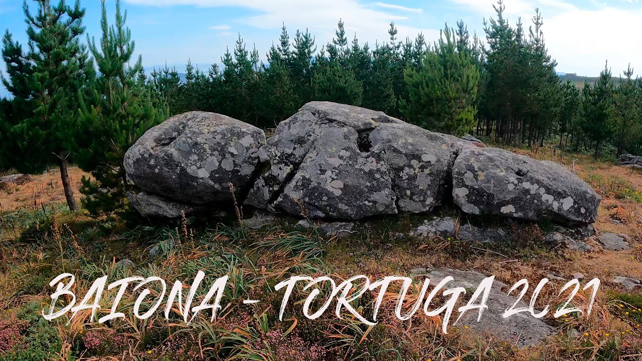 BAIONA - TORTUGA 2021