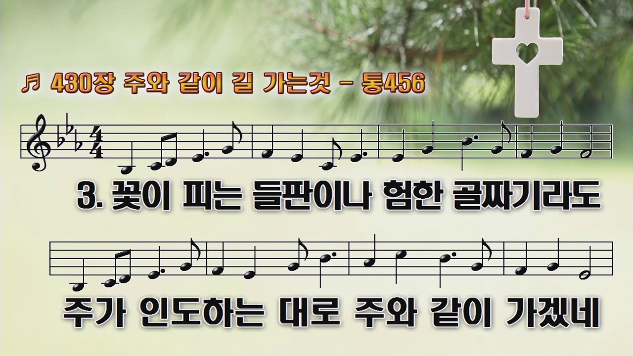 영월제일교회예배실황