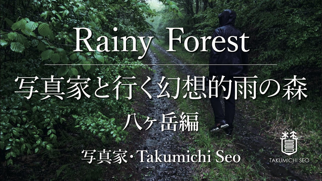 【Rainy Forest】写真家と行く幻想的雨の森 八ヶ岳編 (写真家Takumichi Seo)
