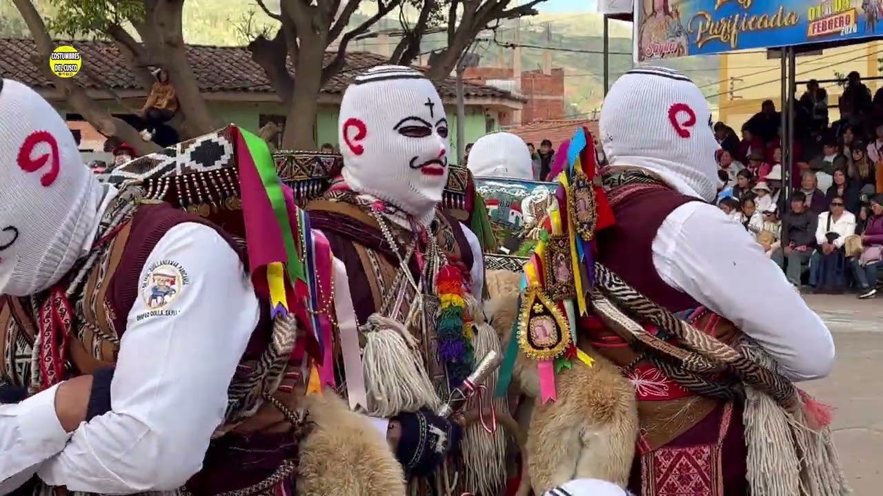 Qhapaq Qolla de Saylla Cusco 2026 Festividad Virgen Purificada 