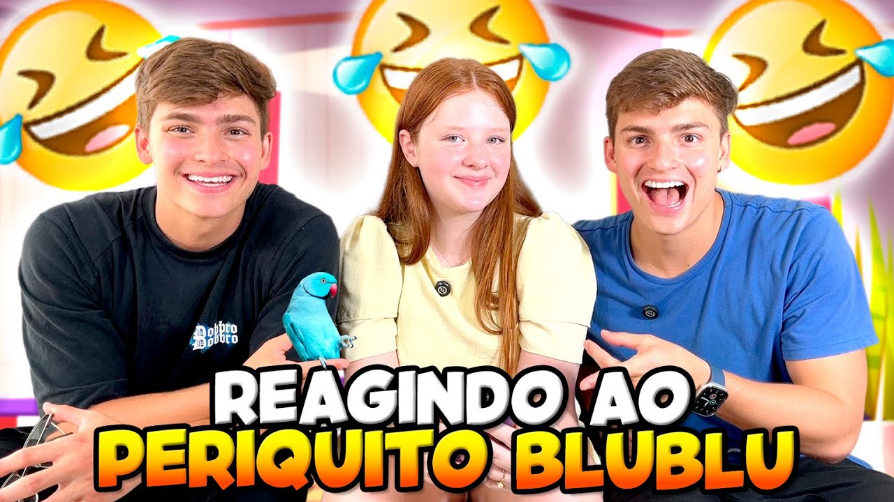 REAGI AOS VÍDEOS DO MEU PASSARINHO COM OS IRMÃOS SCRIBEL • Luiza Zimerman •