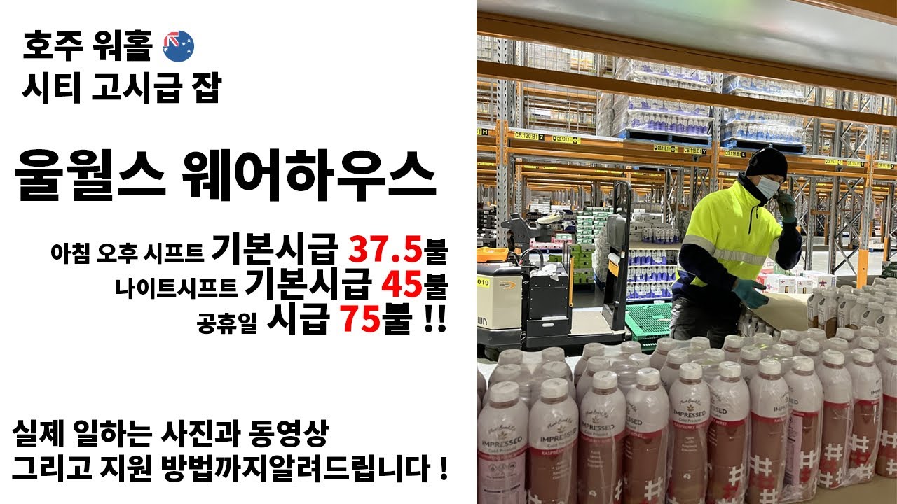 호주워홀 🇦🇺 브리즈번 시티 고시급잡 울월스 웨어하우스 떠먹여 드리겠습니다.