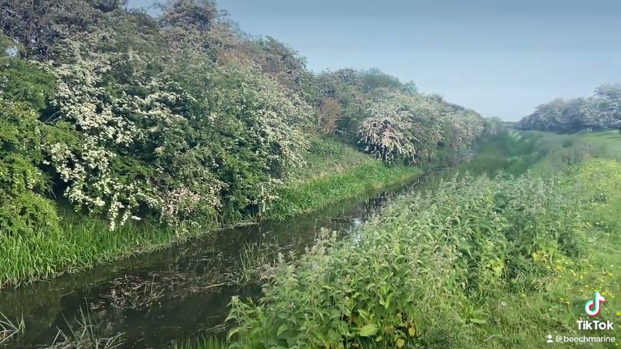 Barmston Drain Beverley East Yorkshire