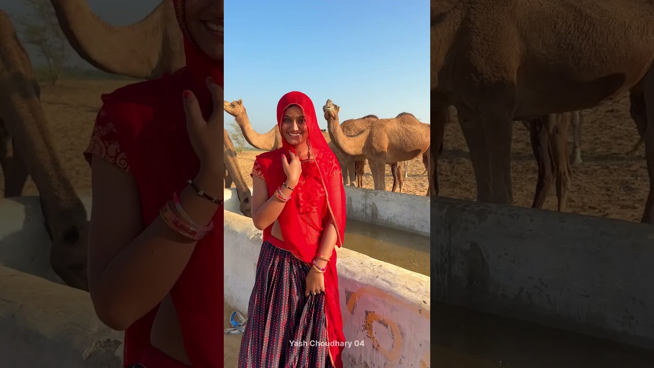 राजस्थान 😍  #rajasthan #culture #food #rajasthani #youtubeshorts #shorts #desi #video #villagelife