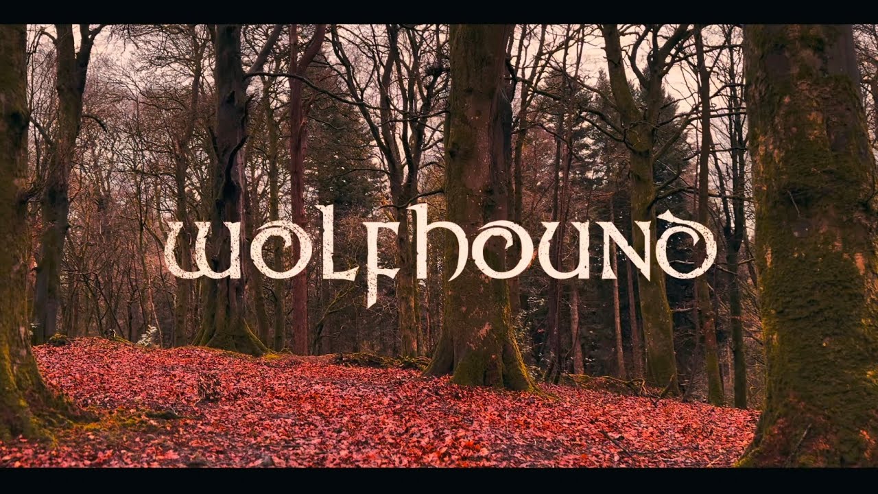 Wolfhound - Creggan White Hare