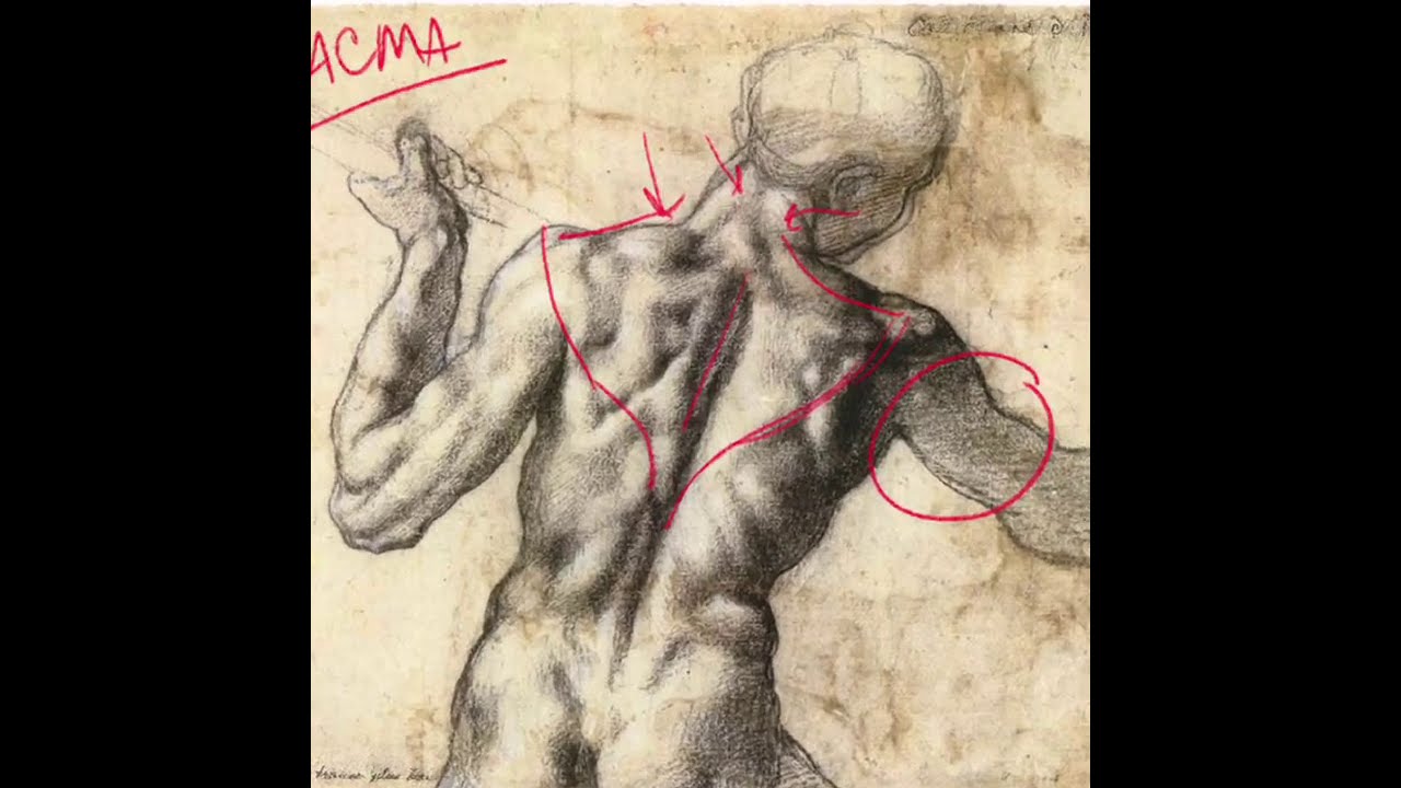 ART HISTORY & DRAWING: 15 MINUTES with MICHELANGELO