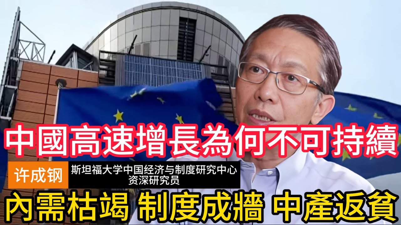 【许成钢深度警示】中国高速增长时代为何难以延续？内需不足与制度约束，正在改写中国经济走向 #许成钢 #中国经济 #内需不足 #制度性问题 #经济增长放缓 #中等收入陷阱 #中国经济前景 #房地产