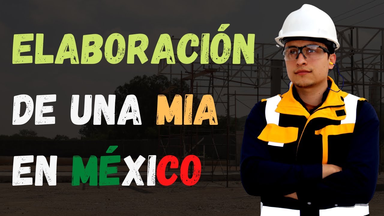 ELABORACIÓN DE UNA MIA EN MÉXICO