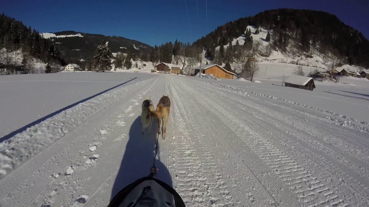 UNTERJOCH schlittenhunderennen 2017