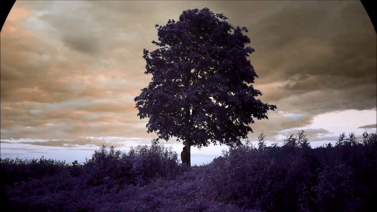 The Tear Garden -  Ascension Day