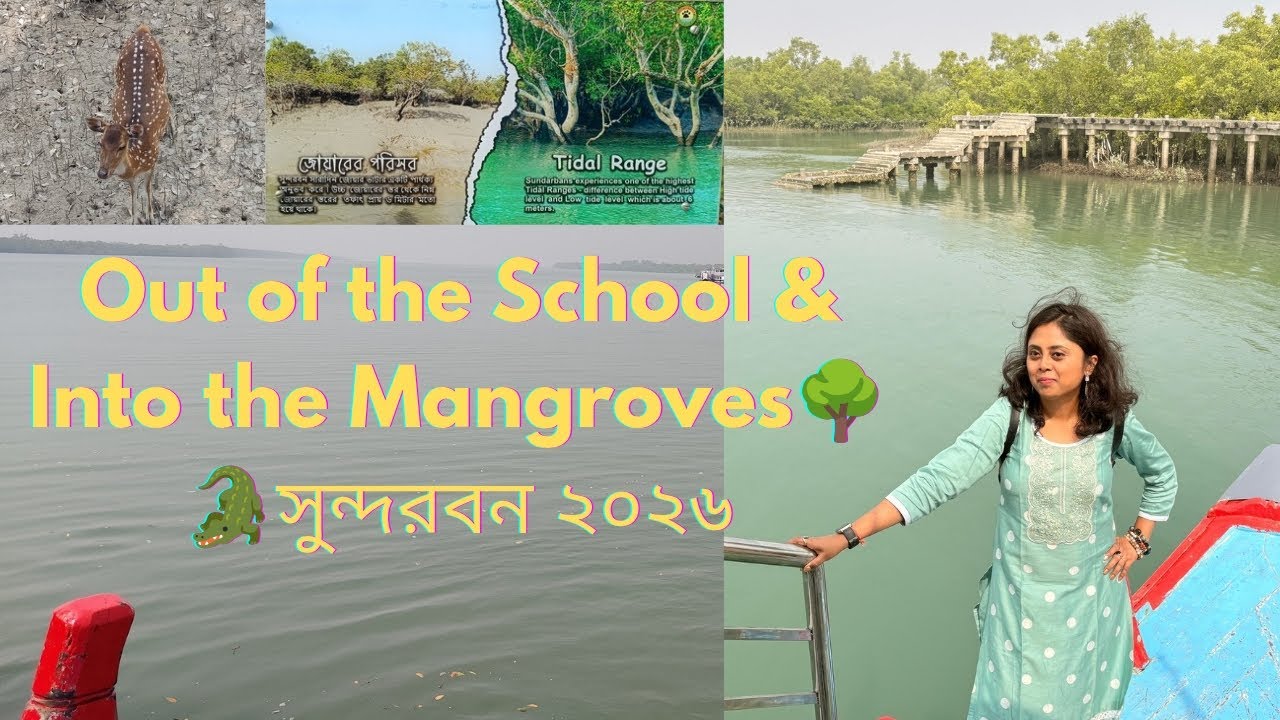 Everything We Did in Sundarban in Just 24 Hours!সুন্দরবন ডায়রি🦌☘️#SundarbanVlog #OfficeTrip#nature 
