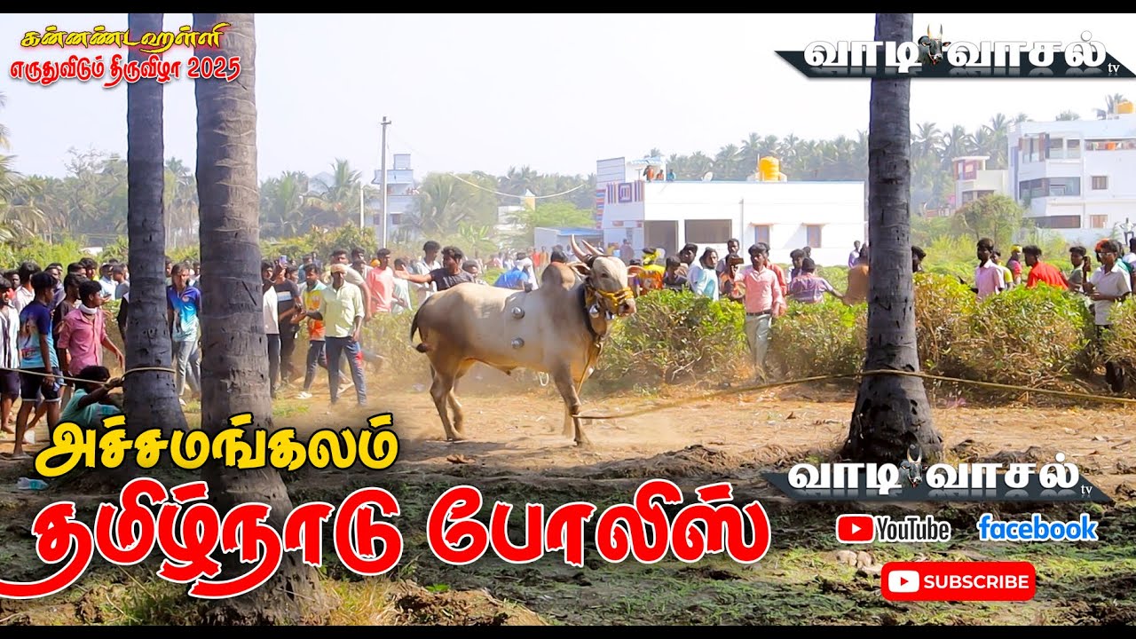 அச்சமங்கலம் தமிழ்நாடு போலீஸ் வெளி ஓட்டம் | vadivasal tv