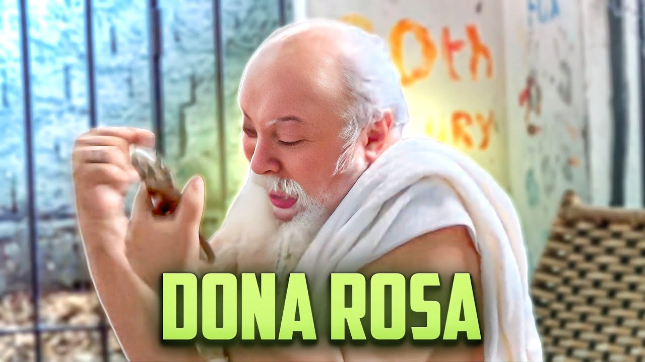 DONA ROSA FALOU NOVAMENTE 🤣🤣🤣 | LUIZ DO SOM
